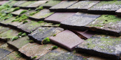 Cwm Mawr roof repair costs